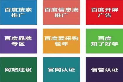 百度竞价推广运营策略：成功案例解析